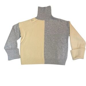 Amoli Color Block Turtleneck Oversized Sweater